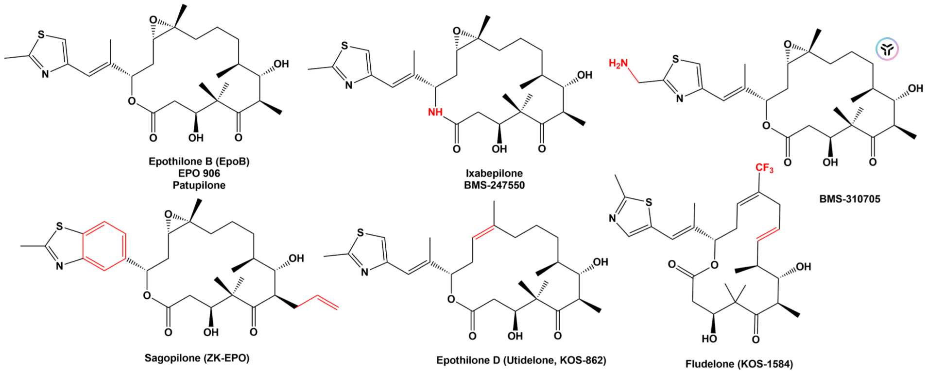 Fig.1 Natural and synthetic epothilone.